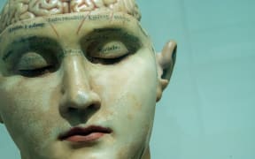 A marble carving of a closed-eyed face with its brain visible.