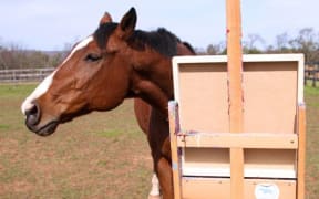 Metro's unbridled style has been compared to Jackson Pollock, a painter famous for his splatter and drip technique.