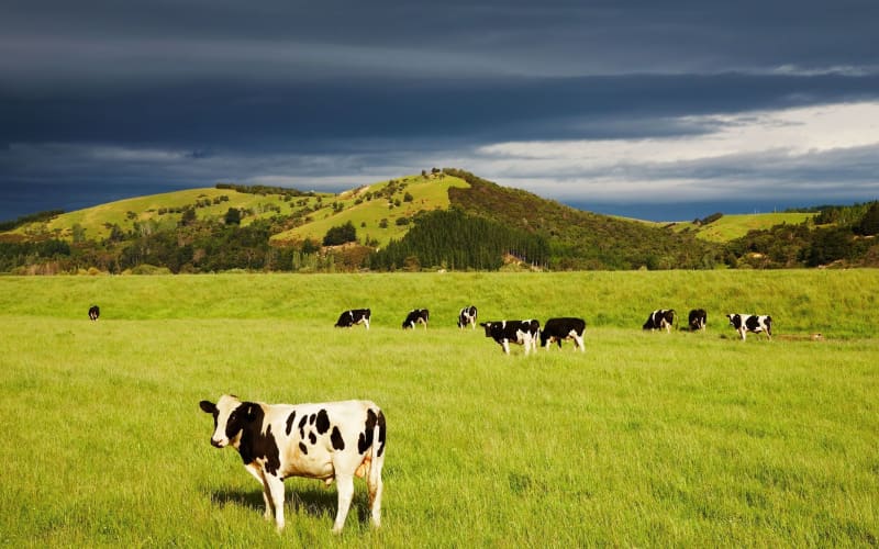 Banking sector review: Rural community says services as important as ...