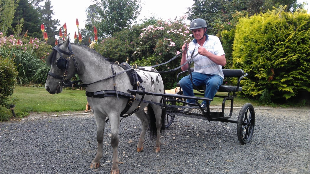Dunedin scurry driver Brian Shanks on Willowbank Thunder and Blues (nickname Spot).