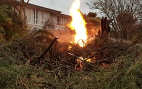 A tree has been hit by lightning in Tokoroa.