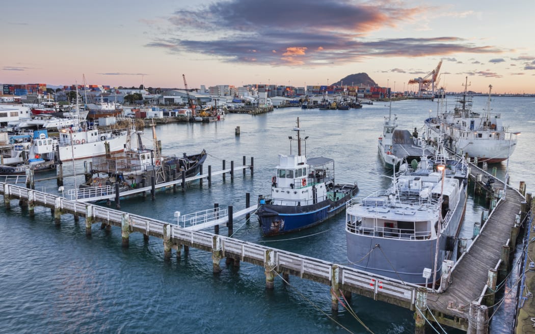 Tauranga Port, Bay of Plenty, with Mount Maunganui in the background.