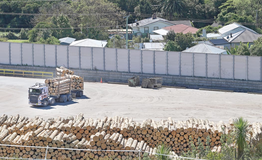 An independent review has found noise and vibrations from the upper logging yard at Eastland Port appears to be causing harm to neighbours.
