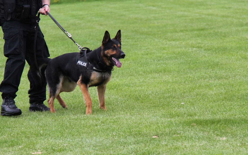 Police dog handler