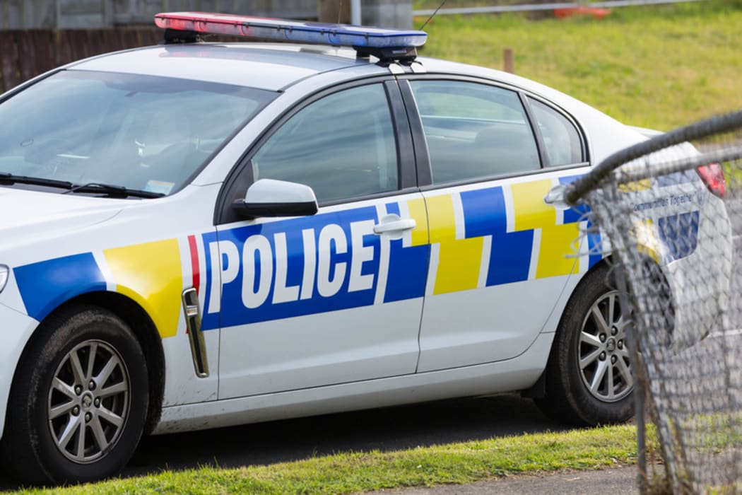 A police car parked on the street.