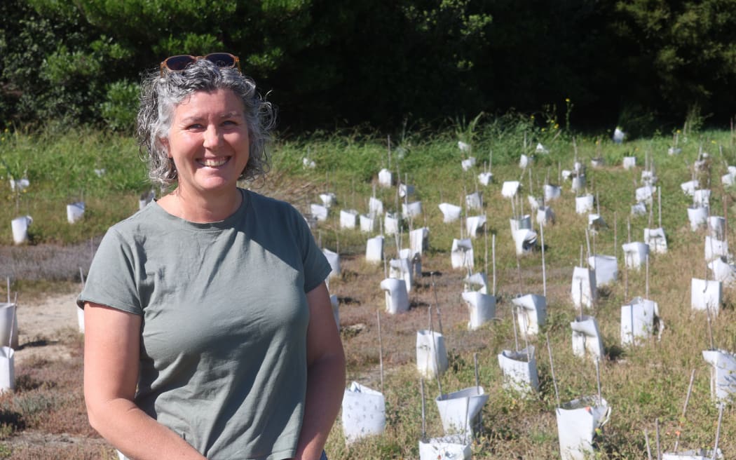Tasman Environment Trust manager Sky Davies says including feral cats in the Predator Free 2050 strategy will “shine a light” on the impact they have on biodiversity.