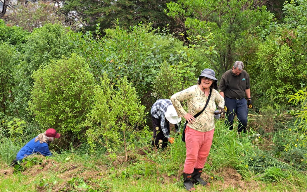 Mount Victoria Residents’ Association president Ellen Blake