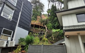 Damage caused by a slip on Scenic Drive in West Auckland's Swanson on 1 February.