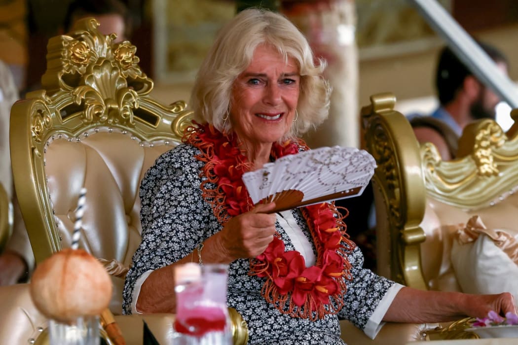 Queen Camilla suffering from chest infection, Buckingham Palace says | RNZ  News