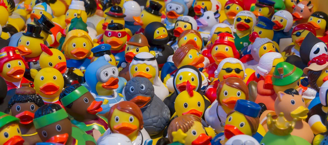 Toy ducks
