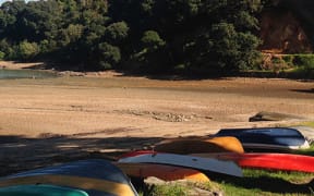 Surfdale Beach, Waiheke Island. Image taken from Waiheke Local.