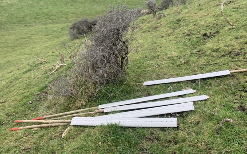 Willow poles prepared for planting.