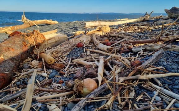 Produce - including apples, onions, pumpkin and pineapple - rotting at Napier Beach's shore on 20 February, 2023.