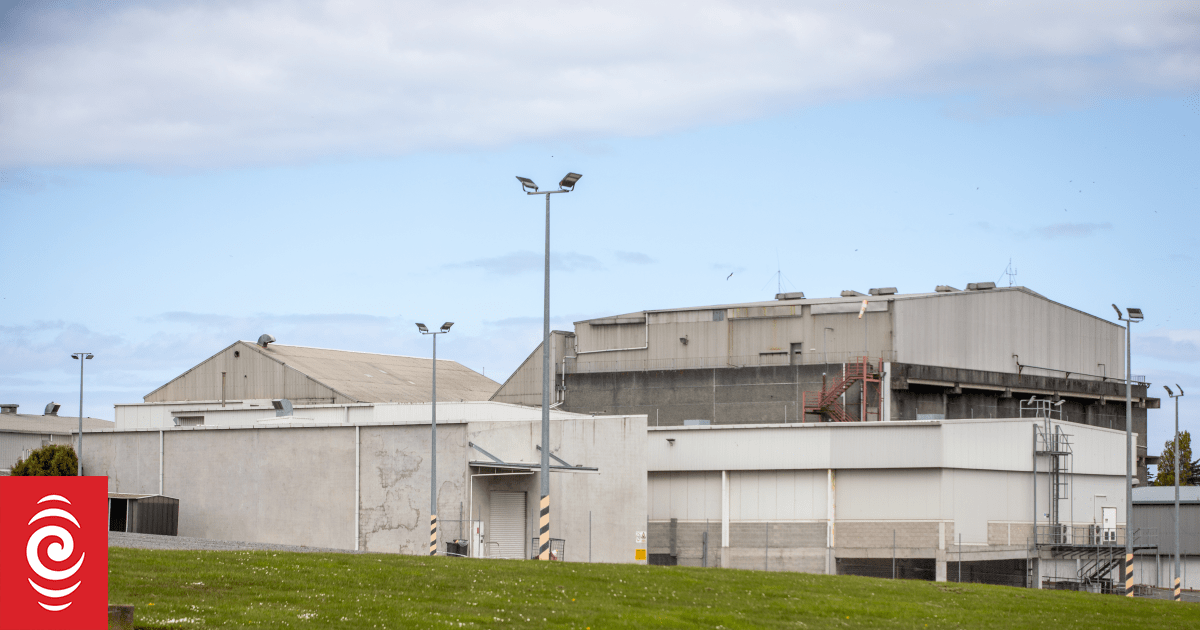 Hundreds of Timaru meatworkers lose their jobs | RNZ