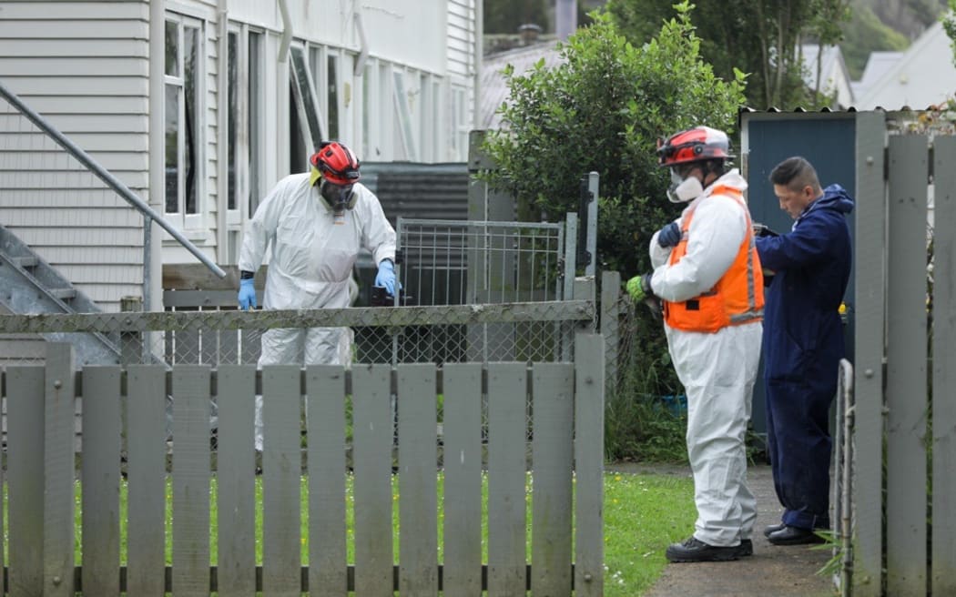 Emergency services at the scene of a house fire on Hanson Grove in Lower Hutt's Stokes Valley on 5 November 2024.