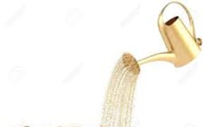 gold coins