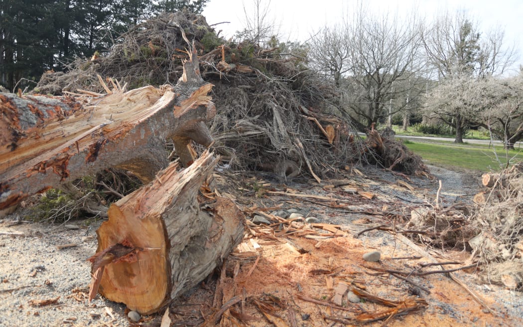 People have been seen cutting wood from the piles with a chainsaw.