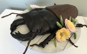One of the entries for the Critter of the Week bake off - a stag beetle