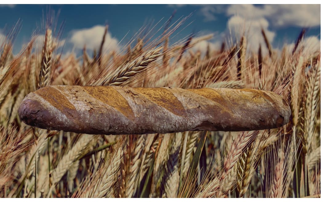 bread and wheat