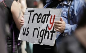 The hīkoi protesting against the Treaty Principles Bill in Wellington on 19 November 2024.