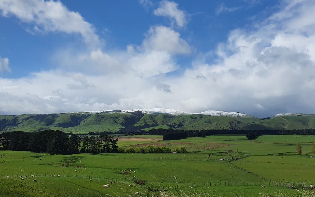A skiff of snow on the eastern hills of South Wairarapa after the polar blast in Oct 2022