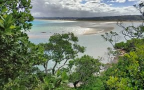 Ngunguru sandspit