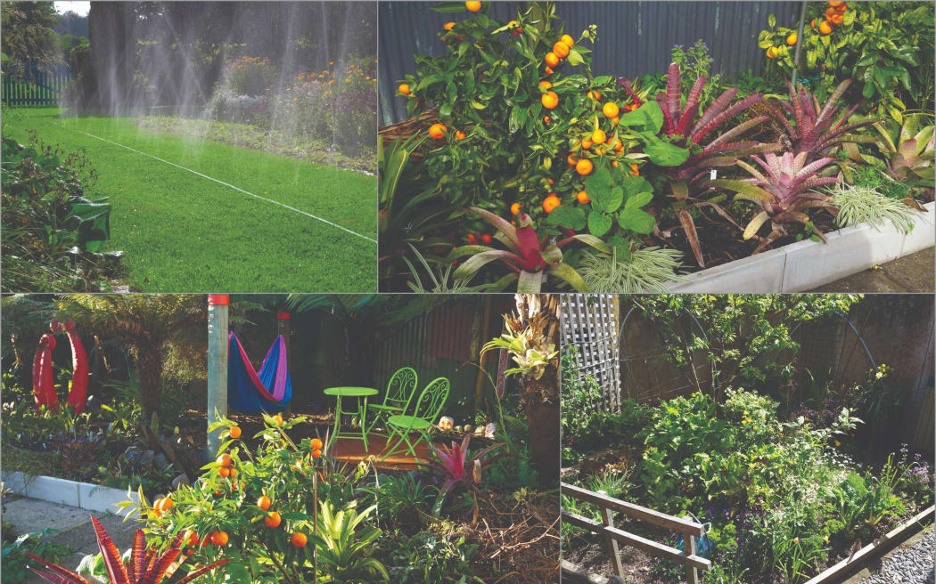 Images of four gardens, including (clockwise from top left): A soaker hose, a small low-maintenance section of garden, a relaxing garden and one that demonstrates permaculture principles.