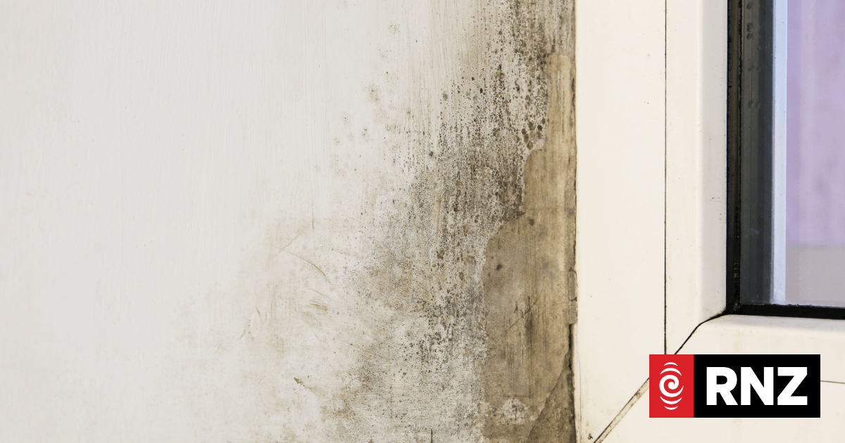 Pharmacy owner's mouldy rental left family with scabies, rat droppings and debt