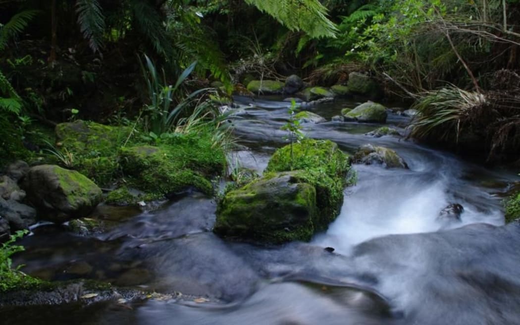 Boundary Stream Scenic Reserve