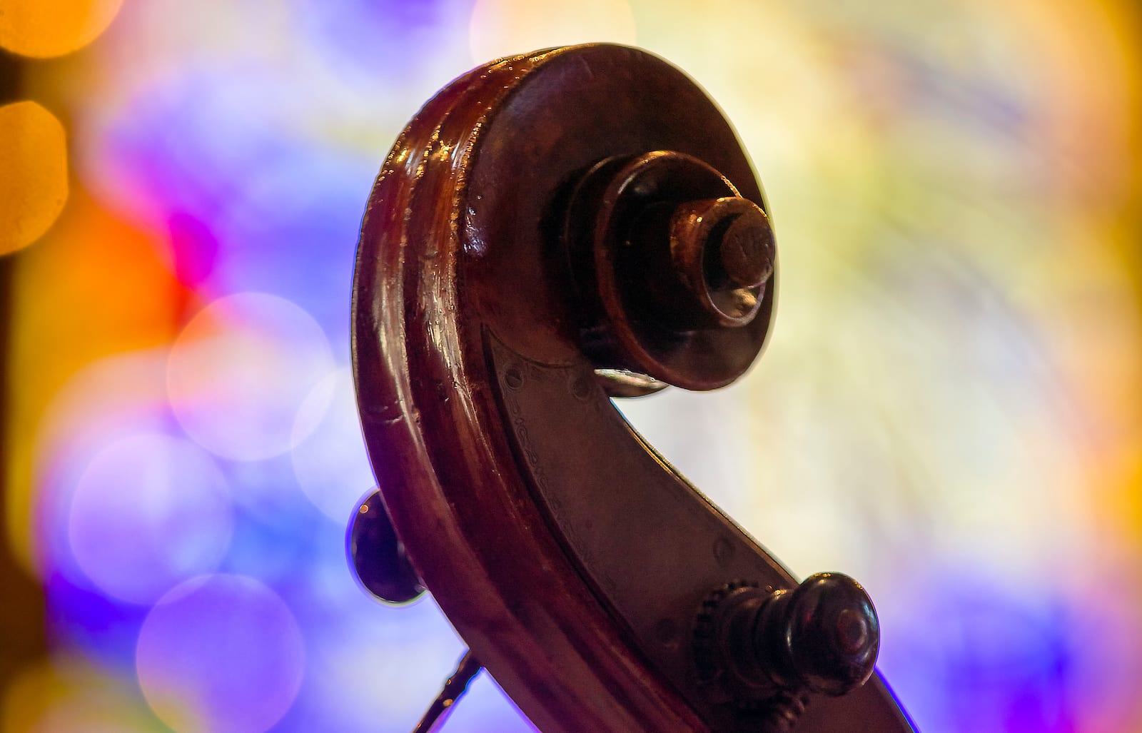 APO Christmas Concert