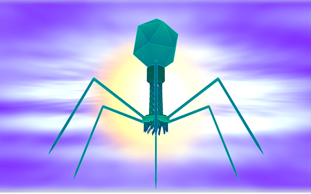 A bacteriophage looks like a moon lander