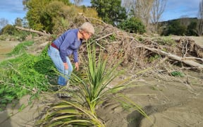 The cabbage tree really stood up during the storm, and the group says they would love to see more of this type of tree instead of willows along the river margin.