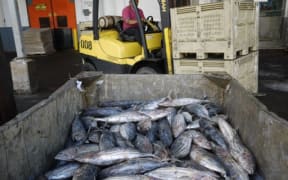 Cannery, American Samoa