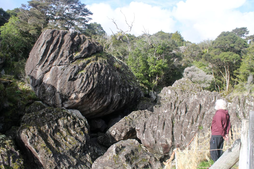 This is an image of Felix Schaad looking at a big fluted boulder
