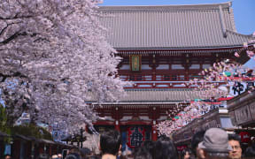 Springtime in Tokyo