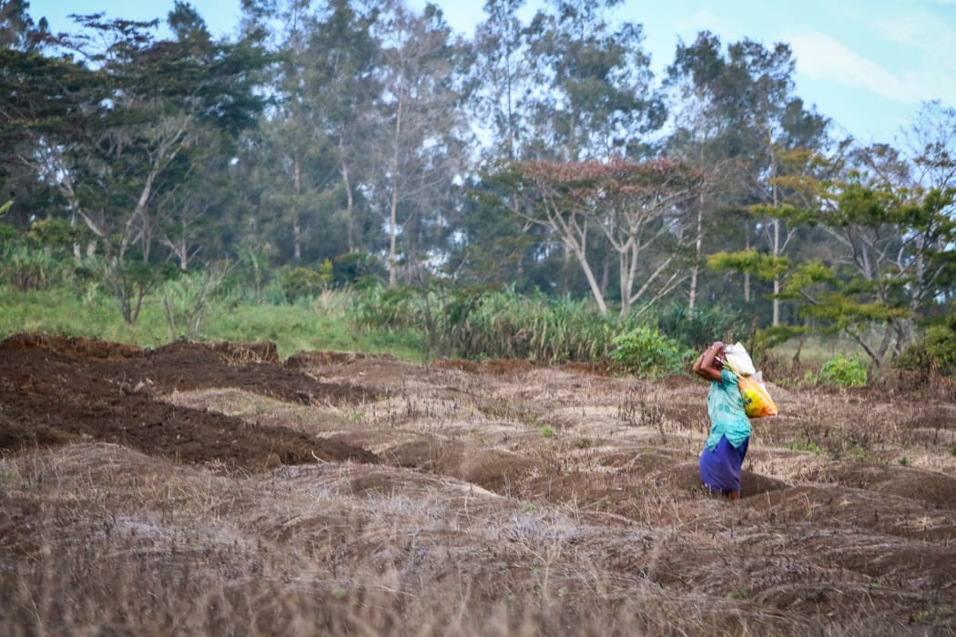 PNG Highlands Highway - farming