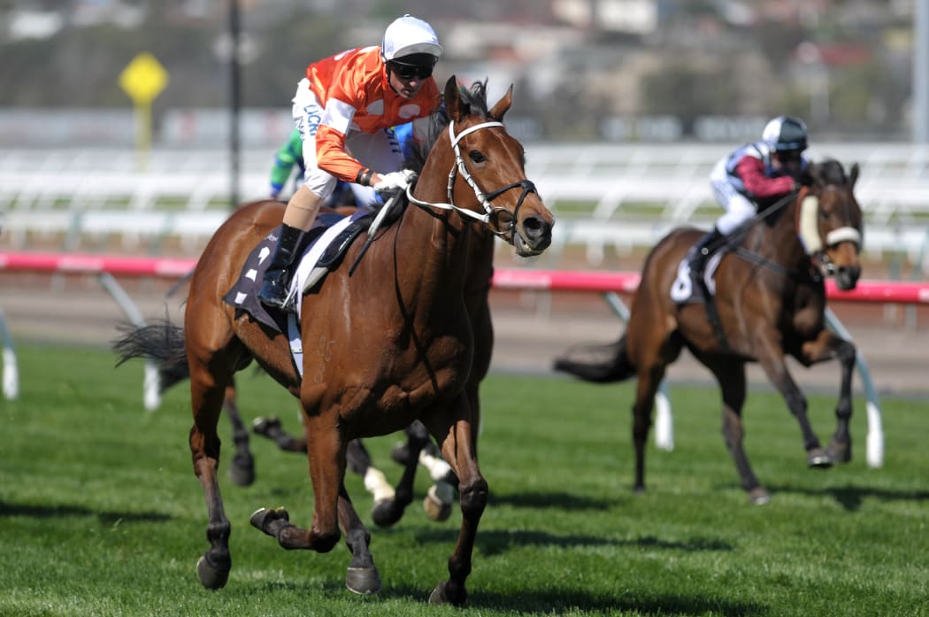 Glen Boss rides the Who Shot Thebarman to victory in The Bart Cummings at Flemington Racecourse in Melbourne on 4 October 2014.