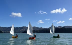 Optimists sailing at Charteris Bay Yacht Club.