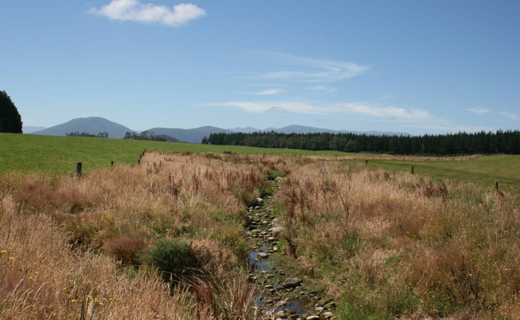 West Coast creek