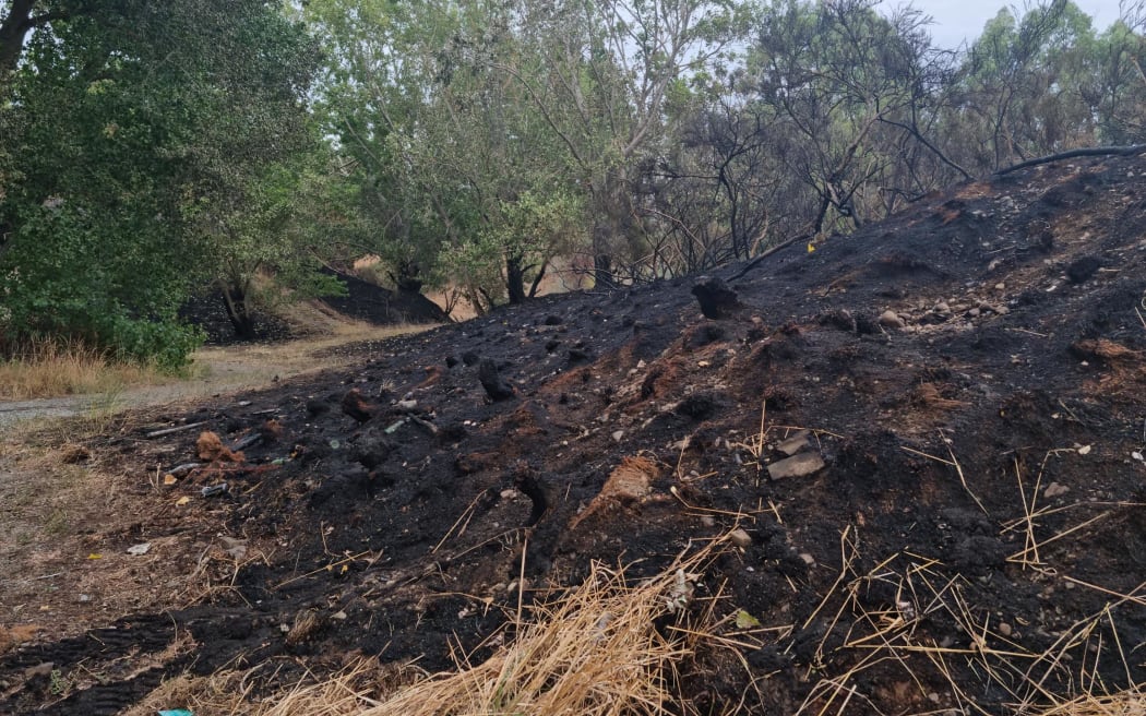 Evidence of a scrub fire on farmland next to SH1 before the Waipara River Bridge.