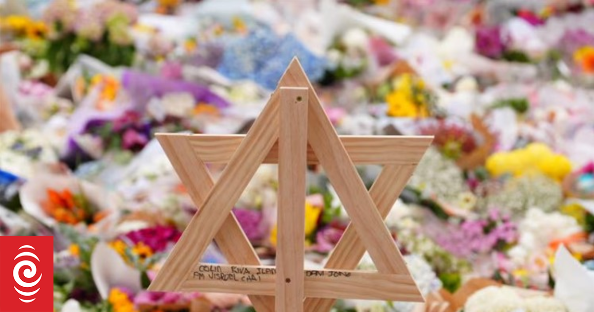 Families of Bondi victims call for federal royal commission