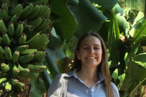 Belinda Thackeray says there are plenty of options when it comes to vertical gardens, but it's important to do your research for one that suits.