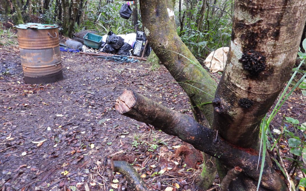 Some of the items found at the illegal campsite in Egmont National Park/Te Papa Kura-o-Taranaki.