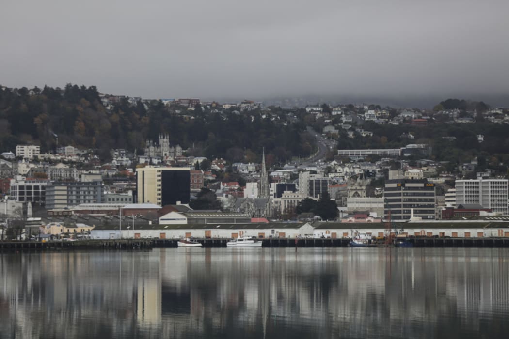 Dunedin city and harbour