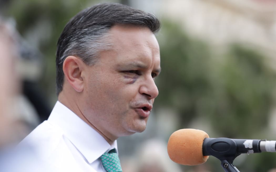 Greens Party co-leader James Shaw turned out for the schools' climate change strike, despite being injured in an attack the day prior.