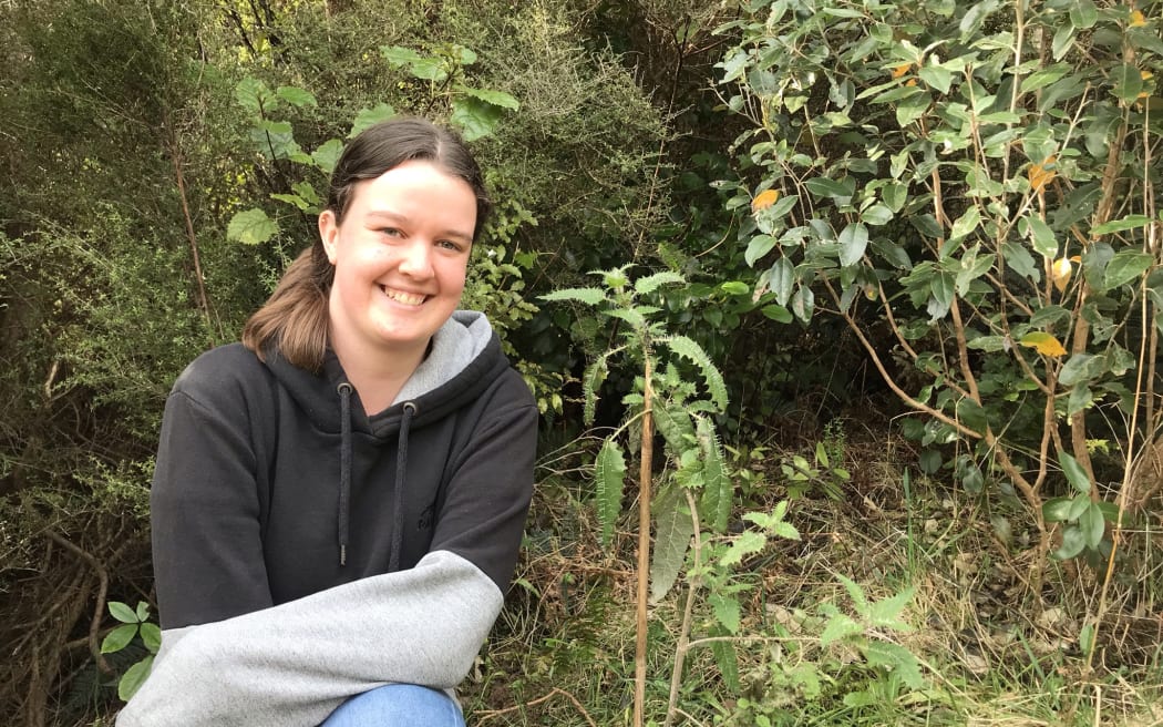 Greer kneels next to an ongaonga/stinging nettle seedling.