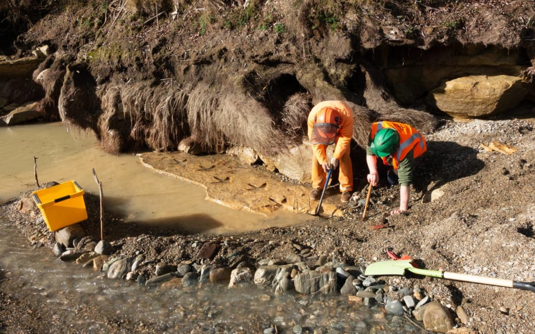 Ewan Fordyce and Marcus Richards extracting the footprints.