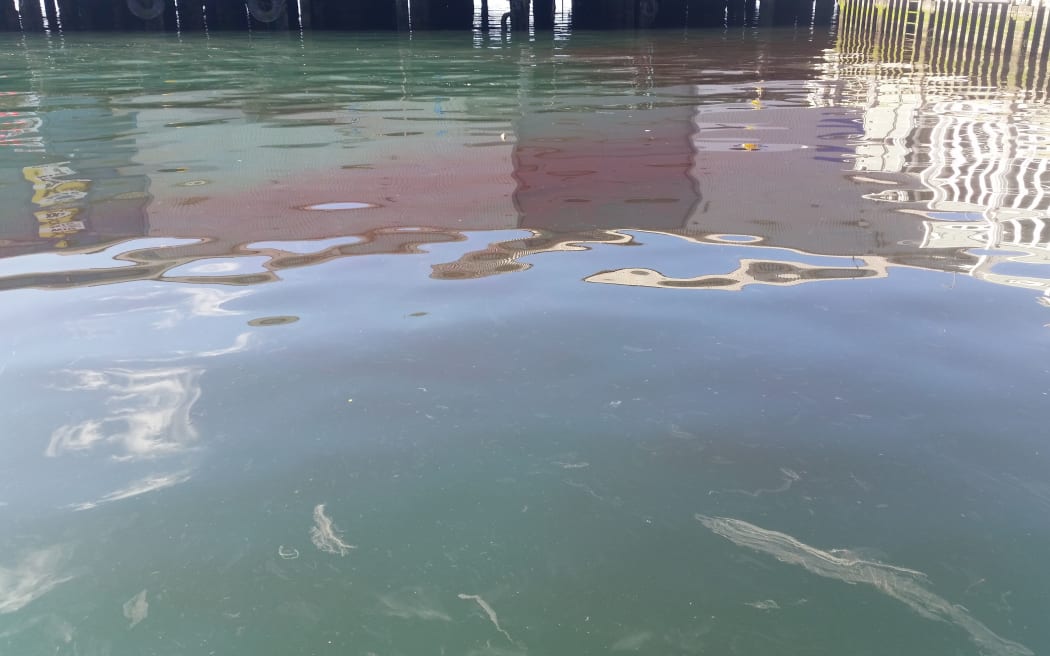 The contaminated area around the waterfront.