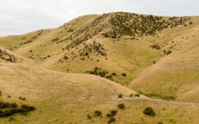 Dry hills in the South Island (file photo)