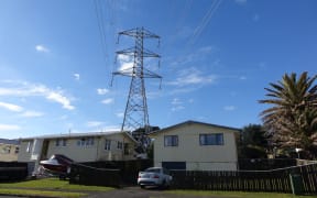 New Plymouth power pylon